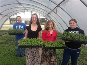 Horticulture 